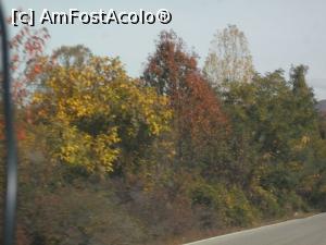 [P18] Tablou de toamnă » foto by Zoazore
 - 
<span class="allrVoted glyphicon glyphicon-heart hidden" id="av913284"></span>
<a class="m-l-10 hidden" id="sv913284" onclick="voting_Foto_DelVot(,913284,8128)" role="button">șterge vot <span class="glyphicon glyphicon-remove"></span></a>
<a id="v9913284" class=" c-red"  onclick="voting_Foto_SetVot(913284)" role="button"><span class="glyphicon glyphicon-heart-empty"></span> <b>LIKE</b> = Votează poza</a> <img class="hidden"  id="f913284W9" src="/imagini/loader.gif" border="0" /><span class="AjErrMes hidden" id="e913284ErM"></span>