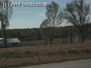 [P02] Culori, nuanțe...  » foto by Zoazore
 - 
<span class="allrVoted glyphicon glyphicon-heart hidden" id="av913258"></span>
<a class="m-l-10 hidden" id="sv913258" onclick="voting_Foto_DelVot(,913258,8128)" role="button">șterge vot <span class="glyphicon glyphicon-remove"></span></a>
<a id="v9913258" class=" c-red"  onclick="voting_Foto_SetVot(913258)" role="button"><span class="glyphicon glyphicon-heart-empty"></span> <b>LIKE</b> = Votează poza</a> <img class="hidden"  id="f913258W9" src="/imagini/loader.gif" border="0" /><span class="AjErrMes hidden" id="e913258ErM"></span>