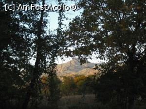 [P09] Tablou de toamnă » foto by Zoazore
 - 
<span class="allrVoted glyphicon glyphicon-heart hidden" id="av913269"></span>
<a class="m-l-10 hidden" id="sv913269" onclick="voting_Foto_DelVot(,913269,8128)" role="button">șterge vot <span class="glyphicon glyphicon-remove"></span></a>
<a id="v9913269" class=" c-red"  onclick="voting_Foto_SetVot(913269)" role="button"><span class="glyphicon glyphicon-heart-empty"></span> <b>LIKE</b> = Votează poza</a> <img class="hidden"  id="f913269W9" src="/imagini/loader.gif" border="0" /><span class="AjErrMes hidden" id="e913269ErM"></span>