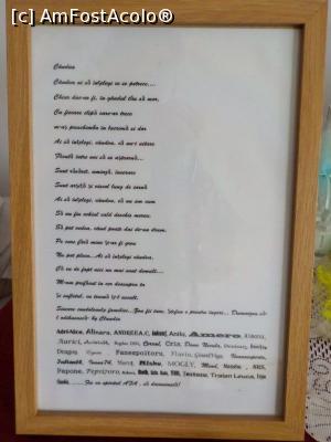 [P07] Superb mesaj! M-a emoționat la maximum. Rama e primită de la @Bogdan DSN.  » foto by Zoazore
 - 
<span class="allrVoted glyphicon glyphicon-heart hidden" id="av1047393"></span>
<a class="m-l-10 hidden" id="sv1047393" onclick="voting_Foto_DelVot(,1047393,8128)" role="button">șterge vot <span class="glyphicon glyphicon-remove"></span></a>
<a id="v91047393" class=" c-red"  onclick="voting_Foto_SetVot(1047393)" role="button"><span class="glyphicon glyphicon-heart-empty"></span> <b>LIKE</b> = Votează poza</a> <img class="hidden"  id="f1047393W9" src="/imagini/loader.gif" border="0" /><span class="AjErrMes hidden" id="e1047393ErM"></span>