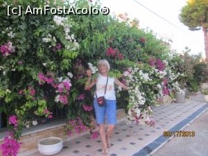 [P02] Pe strada printre flori » foto by extracrisina
 - 
<span class="allrVoted glyphicon glyphicon-heart hidden" id="av975064"></span>
<a class="m-l-10 hidden" id="sv975064" onclick="voting_Foto_DelVot(,975064,8128)" role="button">șterge vot <span class="glyphicon glyphicon-remove"></span></a>
<a id="v9975064" class=" c-red"  onclick="voting_Foto_SetVot(975064)" role="button"><span class="glyphicon glyphicon-heart-empty"></span> <b>LIKE</b> = Votează poza</a> <img class="hidden"  id="f975064W9" src="/imagini/loader.gif" border="0" /><span class="AjErrMes hidden" id="e975064ErM"></span>