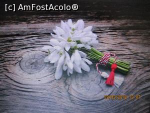 [P02]  -- <small>// FĂRĂ DESCRIERE</small> » foto by elviramvio <span class="label label-default labelC_thin small">NEVOTABILĂ</span>