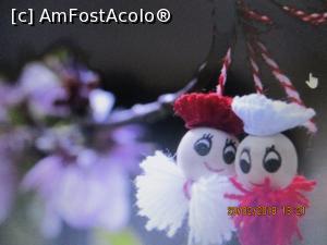 [P03]  -- <small>// FĂRĂ DESCRIERE</small> » foto by elviramvio <span class="label label-default labelC_thin small">NEVOTABILĂ</span>