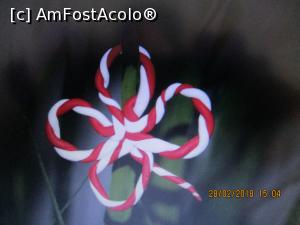 [P08]  -- <small>// FĂRĂ DESCRIERE</small> » foto by elviramvio <span class="label label-default labelC_thin small">NEVOTABILĂ</span>