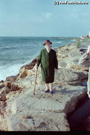 [P05] Visul mamei devenit realitate - in Tel Aviv pe malul Mediteranei
De ziua mamei sau viata la 97 de ani (p 5)  » foto by ccondeiu
 - 
<span class="allrVoted glyphicon glyphicon-heart hidden" id="av581380"></span>
<a class="m-l-10 hidden" id="sv581380" onclick="voting_Foto_DelVot(,581380,8128)" role="button">șterge vot <span class="glyphicon glyphicon-remove"></span></a>
<a id="v9581380" class=" c-red"  onclick="voting_Foto_SetVot(581380)" role="button"><span class="glyphicon glyphicon-heart-empty"></span> <b>LIKE</b> = Votează poza</a> <img class="hidden"  id="f581380W9" src="/imagini/loader.gif" border="0" /><span class="AjErrMes hidden" id="e581380ErM"></span>