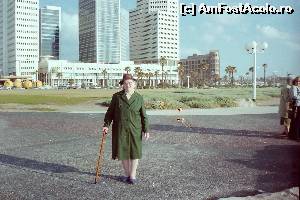 [P06] Visul mamei devenit realitate - in Tel Aviv pe malul Mediteranei
De ziua mamei sau viata la 97 de ani (p 6)  » foto by ccondeiu
 - 
<span class="allrVoted glyphicon glyphicon-heart hidden" id="av581381"></span>
<a class="m-l-10 hidden" id="sv581381" onclick="voting_Foto_DelVot(,581381,8128)" role="button">șterge vot <span class="glyphicon glyphicon-remove"></span></a>
<a id="v9581381" class=" c-red"  onclick="voting_Foto_SetVot(581381)" role="button"><span class="glyphicon glyphicon-heart-empty"></span> <b>LIKE</b> = Votează poza</a> <img class="hidden"  id="f581381W9" src="/imagini/loader.gif" border="0" /><span class="AjErrMes hidden" id="e581381ErM"></span>