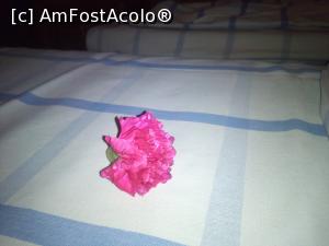 [P01] O floare de la Maria...  » foto by danaeldreny*
 - 
<span class="allrVoted glyphicon glyphicon-heart hidden" id="av930660"></span>
<a class="m-l-10 hidden" id="sv930660" onclick="voting_Foto_DelVot(,930660,8128)" role="button">șterge vot <span class="glyphicon glyphicon-remove"></span></a>
<a id="v9930660" class=" c-red"  onclick="voting_Foto_SetVot(930660)" role="button"><span class="glyphicon glyphicon-heart-empty"></span> <b>LIKE</b> = Votează poza</a> <img class="hidden"  id="f930660W9" src="/imagini/loader.gif" border="0" /><span class="AjErrMes hidden" id="e930660ErM"></span>