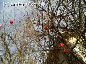 [P05] Plimbare pe la Maria... Eforie Sud » foto by danaeldreny*
 - 
<span class="allrVoted glyphicon glyphicon-heart hidden" id="av930664"></span>
<a class="m-l-10 hidden" id="sv930664" onclick="voting_Foto_DelVot(,930664,8128)" role="button">șterge vot <span class="glyphicon glyphicon-remove"></span></a>
<a id="v9930664" class=" c-red"  onclick="voting_Foto_SetVot(930664)" role="button"><span class="glyphicon glyphicon-heart-empty"></span> <b>LIKE</b> = Votează poza</a> <img class="hidden"  id="f930664W9" src="/imagini/loader.gif" border="0" /><span class="AjErrMes hidden" id="e930664ErM"></span>