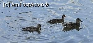 [P04] Complexul de agrement Muresul (Week-end) se afla langa raul Mures » foto by dorgo
 - 
<span class="allrVoted glyphicon glyphicon-heart hidden" id="av1245800"></span>
<a class="m-l-10 hidden" id="sv1245800" onclick="voting_Foto_DelVot(,1245800,8128)" role="button">șterge vot <span class="glyphicon glyphicon-remove"></span></a>
<a id="v91245800" class=" c-red"  onclick="voting_Foto_SetVot(1245800)" role="button"><span class="glyphicon glyphicon-heart-empty"></span> <b>LIKE</b> = Votează poza</a> <img class="hidden"  id="f1245800W9" src="/imagini/loader.gif" border="0" /><span class="AjErrMes hidden" id="e1245800ErM"></span>