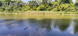 [P02] Flora si fauna Muresului » foto by dorgo
 - 
<span class="allrVoted glyphicon glyphicon-heart hidden" id="av1251261"></span>
<a class="m-l-10 hidden" id="sv1251261" onclick="voting_Foto_DelVot(,1251261,8128)" role="button">șterge vot <span class="glyphicon glyphicon-remove"></span></a>
<a id="v91251261" class=" c-red"  onclick="voting_Foto_SetVot(1251261)" role="button"><span class="glyphicon glyphicon-heart-empty"></span> <b>LIKE</b> = Votează poza</a> <img class="hidden"  id="f1251261W9" src="/imagini/loader.gif" border="0" /><span class="AjErrMes hidden" id="e1251261ErM"></span>