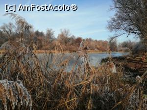 [P26] Promenada Muresului » foto by dorgo
 - 
<span class="allrVoted glyphicon glyphicon-heart hidden" id="av1251887"></span>
<a class="m-l-10 hidden" id="sv1251887" onclick="voting_Foto_DelVot(,1251887,8128)" role="button">șterge vot <span class="glyphicon glyphicon-remove"></span></a>
<a id="v91251887" class=" c-red"  onclick="voting_Foto_SetVot(1251887)" role="button"><span class="glyphicon glyphicon-heart-empty"></span> <b>LIKE</b> = Votează poza</a> <img class="hidden"  id="f1251887W9" src="/imagini/loader.gif" border="0" /><span class="AjErrMes hidden" id="e1251887ErM"></span>