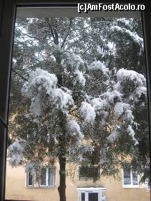 [P15] Aceasta imagine din spatele termopanelor ma insoteste si ma inspira mereu cand va scriu review-uri » foto by dorgo
 - 
<span class="allrVoted glyphicon glyphicon-heart hidden" id="av174026"></span>
<a class="m-l-10 hidden" id="sv174026" onclick="voting_Foto_DelVot(,174026,8128)" role="button">șterge vot <span class="glyphicon glyphicon-remove"></span></a>
<a id="v9174026" class=" c-red"  onclick="voting_Foto_SetVot(174026)" role="button"><span class="glyphicon glyphicon-heart-empty"></span> <b>LIKE</b> = Votează poza</a> <img class="hidden"  id="f174026W9" src="/imagini/loader.gif" border="0" /><span class="AjErrMes hidden" id="e174026ErM"></span>