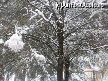 [P17] Daca deschid geamul de la baie, apare un alt colt de natura » foto by dorgo
 - 
<span class="allrVoted glyphicon glyphicon-heart hidden" id="av174028"></span>
<a class="m-l-10 hidden" id="sv174028" onclick="voting_Foto_DelVot(,174028,8128)" role="button">șterge vot <span class="glyphicon glyphicon-remove"></span></a>
<a id="v9174028" class=" c-red"  onclick="voting_Foto_SetVot(174028)" role="button"><span class="glyphicon glyphicon-heart-empty"></span> <b>LIKE</b> = Votează poza</a> <img class="hidden"  id="f174028W9" src="/imagini/loader.gif" border="0" /><span class="AjErrMes hidden" id="e174028ErM"></span>