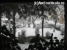 [P19] Cand cobor, la fiecare semietaj, mai exista cate o fereastra mare, de unde, printre flori, se observa un mic parc situat intre blocuri... » foto by dorgo
 - 
<span class="allrVoted glyphicon glyphicon-heart hidden" id="av174030"></span>
<a class="m-l-10 hidden" id="sv174030" onclick="voting_Foto_DelVot(,174030,8128)" role="button">șterge vot <span class="glyphicon glyphicon-remove"></span></a>
<a id="v9174030" class=" c-red"  onclick="voting_Foto_SetVot(174030)" role="button"><span class="glyphicon glyphicon-heart-empty"></span> <b>LIKE</b> = Votează poza</a> <img class="hidden"  id="f174030W9" src="/imagini/loader.gif" border="0" /><span class="AjErrMes hidden" id="e174030ErM"></span>