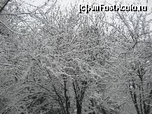 [P21] Apoi, pana s-ajungi la 'drumul mare', mai treci prin niste locuri frumoase... » foto by dorgo
 - 
<span class="allrVoted glyphicon glyphicon-heart hidden" id="av174032"></span>
<a class="m-l-10 hidden" id="sv174032" onclick="voting_Foto_DelVot(,174032,8128)" role="button">șterge vot <span class="glyphicon glyphicon-remove"></span></a>
<a id="v9174032" class=" c-red"  onclick="voting_Foto_SetVot(174032)" role="button"><span class="glyphicon glyphicon-heart-empty"></span> <b>LIKE</b> = Votează poza</a> <img class="hidden"  id="f174032W9" src="/imagini/loader.gif" border="0" /><span class="AjErrMes hidden" id="e174032ErM"></span>