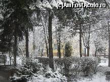 [P22] Uneori, cele cateva blocuri din micul meu cartier, se disting cu greu din cauza vegetatiei abundente » foto by dorgo
 - 
<span class="allrVoted glyphicon glyphicon-heart hidden" id="av174033"></span>
<a class="m-l-10 hidden" id="sv174033" onclick="voting_Foto_DelVot(,174033,8128)" role="button">șterge vot <span class="glyphicon glyphicon-remove"></span></a>
<a id="v9174033" class=" c-red"  onclick="voting_Foto_SetVot(174033)" role="button"><span class="glyphicon glyphicon-heart-empty"></span> <b>LIKE</b> = Votează poza</a> <img class="hidden"  id="f174033W9" src="/imagini/loader.gif" border="0" /><span class="AjErrMes hidden" id="e174033ErM"></span>