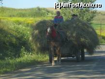 [P01] 'Beautiful Romania', peisaj nr.1 » foto by dorgo
 - 
<span class="allrVoted glyphicon glyphicon-heart hidden" id="av263952"></span>
<a class="m-l-10 hidden" id="sv263952" onclick="voting_Foto_DelVot(,263952,8128)" role="button">șterge vot <span class="glyphicon glyphicon-remove"></span></a>
<a id="v9263952" class=" c-red"  onclick="voting_Foto_SetVot(263952)" role="button"><span class="glyphicon glyphicon-heart-empty"></span> <b>LIKE</b> = Votează poza</a> <img class="hidden"  id="f263952W9" src="/imagini/loader.gif" border="0" /><span class="AjErrMes hidden" id="e263952ErM"></span>