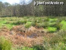 [P10] Peisaj nr.10 » foto by dorgo
 - 
<span class="allrVoted glyphicon glyphicon-heart hidden" id="av263961"></span>
<a class="m-l-10 hidden" id="sv263961" onclick="voting_Foto_DelVot(,263961,8128)" role="button">șterge vot <span class="glyphicon glyphicon-remove"></span></a>
<a id="v9263961" class=" c-red"  onclick="voting_Foto_SetVot(263961)" role="button"><span class="glyphicon glyphicon-heart-empty"></span> <b>LIKE</b> = Votează poza</a> <img class="hidden"  id="f263961W9" src="/imagini/loader.gif" border="0" /><span class="AjErrMes hidden" id="e263961ErM"></span>