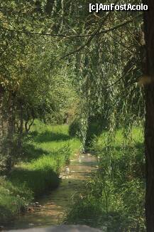 [P15] Peisaj nr.15 » foto by dorgo
 - 
<span class="allrVoted glyphicon glyphicon-heart hidden" id="av264363"></span>
<a class="m-l-10 hidden" id="sv264363" onclick="voting_Foto_DelVot(,264363,8128)" role="button">șterge vot <span class="glyphicon glyphicon-remove"></span></a>
<a id="v9264363" class=" c-red"  onclick="voting_Foto_SetVot(264363)" role="button"><span class="glyphicon glyphicon-heart-empty"></span> <b>LIKE</b> = Votează poza</a> <img class="hidden"  id="f264363W9" src="/imagini/loader.gif" border="0" /><span class="AjErrMes hidden" id="e264363ErM"></span>