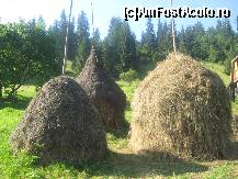 [P02] Peisaj nr.2 » foto by dorgo
 - 
<span class="allrVoted glyphicon glyphicon-heart hidden" id="av263953"></span>
<a class="m-l-10 hidden" id="sv263953" onclick="voting_Foto_DelVot(,263953,8128)" role="button">șterge vot <span class="glyphicon glyphicon-remove"></span></a>
<a id="v9263953" class=" c-red"  onclick="voting_Foto_SetVot(263953)" role="button"><span class="glyphicon glyphicon-heart-empty"></span> <b>LIKE</b> = Votează poza</a> <img class="hidden"  id="f263953W9" src="/imagini/loader.gif" border="0" /><span class="AjErrMes hidden" id="e263953ErM"></span>