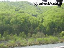 [P04] Peisaj nr.4 » foto by dorgo
 - 
<span class="allrVoted glyphicon glyphicon-heart hidden" id="av263955"></span>
<a class="m-l-10 hidden" id="sv263955" onclick="voting_Foto_DelVot(,263955,8128)" role="button">șterge vot <span class="glyphicon glyphicon-remove"></span></a>
<a id="v9263955" class=" c-red"  onclick="voting_Foto_SetVot(263955)" role="button"><span class="glyphicon glyphicon-heart-empty"></span> <b>LIKE</b> = Votează poza</a> <img class="hidden"  id="f263955W9" src="/imagini/loader.gif" border="0" /><span class="AjErrMes hidden" id="e263955ErM"></span>