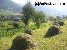 [P07] Peisaj nr.7 » foto by dorgo
 - 
<span class="allrVoted glyphicon glyphicon-heart hidden" id="av263958"></span>
<a class="m-l-10 hidden" id="sv263958" onclick="voting_Foto_DelVot(,263958,8128)" role="button">șterge vot <span class="glyphicon glyphicon-remove"></span></a>
<a id="v9263958" class=" c-red"  onclick="voting_Foto_SetVot(263958)" role="button"><span class="glyphicon glyphicon-heart-empty"></span> <b>LIKE</b> = Votează poza</a> <img class="hidden"  id="f263958W9" src="/imagini/loader.gif" border="0" /><span class="AjErrMes hidden" id="e263958ErM"></span>