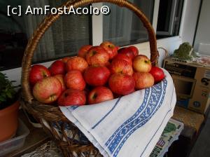 [P18] Iată ce a pregătit Moșul:<p> Ceva pentru pofticioși!  » foto by mihaelavoicu
 - 
<span class="allrVoted glyphicon glyphicon-heart hidden" id="av931851"></span>
<a class="m-l-10 hidden" id="sv931851" onclick="voting_Foto_DelVot(,931851,8128)" role="button">șterge vot <span class="glyphicon glyphicon-remove"></span></a>
<a id="v9931851" class=" c-red"  onclick="voting_Foto_SetVot(931851)" role="button"><span class="glyphicon glyphicon-heart-empty"></span> <b>LIKE</b> = Votează poza</a> <img class="hidden"  id="f931851W9" src="/imagini/loader.gif" border="0" /><span class="AjErrMes hidden" id="e931851ErM"></span>