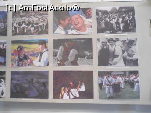 [P04] Imagini din Expoziție » foto by mihaelavoicu
 - 
<span class="allrVoted glyphicon glyphicon-heart hidden" id="av946589"></span>
<a class="m-l-10 hidden" id="sv946589" onclick="voting_Foto_DelVot(,946589,8128)" role="button">șterge vot <span class="glyphicon glyphicon-remove"></span></a>
<a id="v9946589" class=" c-red"  onclick="voting_Foto_SetVot(946589)" role="button"><span class="glyphicon glyphicon-heart-empty"></span> <b>LIKE</b> = Votează poza</a> <img class="hidden"  id="f946589W9" src="/imagini/loader.gif" border="0" /><span class="AjErrMes hidden" id="e946589ErM"></span>