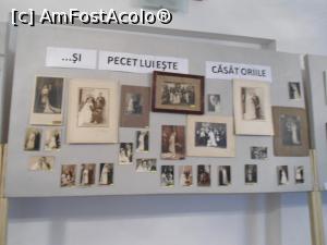 [P05] Imagini din Expoziție » foto by mihaelavoicu
 - 
<span class="allrVoted glyphicon glyphicon-heart hidden" id="av946590"></span>
<a class="m-l-10 hidden" id="sv946590" onclick="voting_Foto_DelVot(,946590,8128)" role="button">șterge vot <span class="glyphicon glyphicon-remove"></span></a>
<a id="v9946590" class=" c-red"  onclick="voting_Foto_SetVot(946590)" role="button"><span class="glyphicon glyphicon-heart-empty"></span> <b>LIKE</b> = Votează poza</a> <img class="hidden"  id="f946590W9" src="/imagini/loader.gif" border="0" /><span class="AjErrMes hidden" id="e946590ErM"></span>