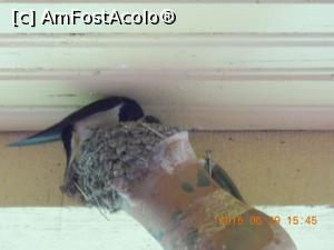 [P10] 29.06.2015 Mare, mare gălăgie. Face educația!  » foto by mihaelavoicu
 - 
<span class="allrVoted glyphicon glyphicon-heart hidden" id="av955711"></span>
<a class="m-l-10 hidden" id="sv955711" onclick="voting_Foto_DelVot(,955711,8128)" role="button">șterge vot <span class="glyphicon glyphicon-remove"></span></a>
<a id="v9955711" class=" c-red"  onclick="voting_Foto_SetVot(955711)" role="button"><span class="glyphicon glyphicon-heart-empty"></span> <b>LIKE</b> = Votează poza</a> <img class="hidden"  id="f955711W9" src="/imagini/loader.gif" border="0" /><span class="AjErrMes hidden" id="e955711ErM"></span>