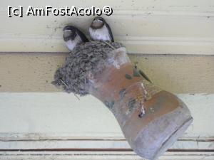 [P12] 09.07.2015 Unul din pui și-a luat zborul. Sau poate e la lecții.  » foto by mihaelavoicu
 - 
<span class="allrVoted glyphicon glyphicon-heart hidden" id="av955713"></span>
<a class="m-l-10 hidden" id="sv955713" onclick="voting_Foto_DelVot(,955713,8128)" role="button">șterge vot <span class="glyphicon glyphicon-remove"></span></a>
<a id="v9955713" class=" c-red"  onclick="voting_Foto_SetVot(955713)" role="button"><span class="glyphicon glyphicon-heart-empty"></span> <b>LIKE</b> = Votează poza</a> <img class="hidden"  id="f955713W9" src="/imagini/loader.gif" border="0" /><span class="AjErrMes hidden" id="e955713ErM"></span>