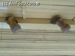 [P15] 13.07.2015 După puțin timp au plecat și cei doi, dar rândunica pregătește un al doilea cuib.  » foto by mihaelavoicu
 - 
<span class="allrVoted glyphicon glyphicon-heart hidden" id="av955716"></span>
<a class="m-l-10 hidden" id="sv955716" onclick="voting_Foto_DelVot(,955716,8128)" role="button">șterge vot <span class="glyphicon glyphicon-remove"></span></a>
<a id="v9955716" class=" c-red"  onclick="voting_Foto_SetVot(955716)" role="button"><span class="glyphicon glyphicon-heart-empty"></span> <b>LIKE</b> = Votează poza</a> <img class="hidden"  id="f955716W9" src="/imagini/loader.gif" border="0" /><span class="AjErrMes hidden" id="e955716ErM"></span>