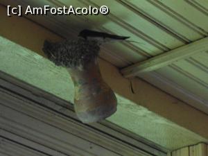 [P02] 06.06.2015 Cuibul este gata de mult.  » foto by mihaelavoicu
 - 
<span class="allrVoted glyphicon glyphicon-heart hidden" id="av955703"></span>
<a class="m-l-10 hidden" id="sv955703" onclick="voting_Foto_DelVot(,955703,8128)" role="button">șterge vot <span class="glyphicon glyphicon-remove"></span></a>
<a id="v9955703" class=" c-red"  onclick="voting_Foto_SetVot(955703)" role="button"><span class="glyphicon glyphicon-heart-empty"></span> <b>LIKE</b> = Votează poza</a> <img class="hidden"  id="f955703W9" src="/imagini/loader.gif" border="0" /><span class="AjErrMes hidden" id="e955703ErM"></span>