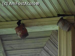 [P03] 06.06.2015 Familia păzește cuibul.  » foto by mihaelavoicu
 - 
<span class="allrVoted glyphicon glyphicon-heart hidden" id="av955704"></span>
<a class="m-l-10 hidden" id="sv955704" onclick="voting_Foto_DelVot(,955704,8128)" role="button">șterge vot <span class="glyphicon glyphicon-remove"></span></a>
<a id="v9955704" class=" c-red"  onclick="voting_Foto_SetVot(955704)" role="button"><span class="glyphicon glyphicon-heart-empty"></span> <b>LIKE</b> = Votează poza</a> <img class="hidden"  id="f955704W9" src="/imagini/loader.gif" border="0" /><span class="AjErrMes hidden" id="e955704ErM"></span>