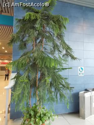 [P13] Ornament în Aeroportul Otopeni.  » foto by mihaelavoicu
 - 
<span class="allrVoted glyphicon glyphicon-heart hidden" id="av987984"></span>
<a class="m-l-10 hidden" id="sv987984" onclick="voting_Foto_DelVot(,987984,8128)" role="button">șterge vot <span class="glyphicon glyphicon-remove"></span></a>
<a id="v9987984" class=" c-red"  onclick="voting_Foto_SetVot(987984)" role="button"><span class="glyphicon glyphicon-heart-empty"></span> <b>LIKE</b> = Votează poza</a> <img class="hidden"  id="f987984W9" src="/imagini/loader.gif" border="0" /><span class="AjErrMes hidden" id="e987984ErM"></span>