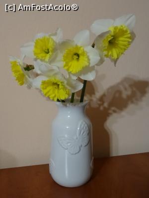 [P02] Flori de primăvară...  » foto by tata123 🔱
 - 
<span class="allrVoted glyphicon glyphicon-heart hidden" id="av1057570"></span>
<a class="m-l-10 hidden" id="sv1057570" onclick="voting_Foto_DelVot(,1057570,8128)" role="button">șterge vot <span class="glyphicon glyphicon-remove"></span></a>
<a id="v91057570" class=" c-red"  onclick="voting_Foto_SetVot(1057570)" role="button"><span class="glyphicon glyphicon-heart-empty"></span> <b>LIKE</b> = Votează poza</a> <img class="hidden"  id="f1057570W9" src="/imagini/loader.gif" border="0" /><span class="AjErrMes hidden" id="e1057570ErM"></span>