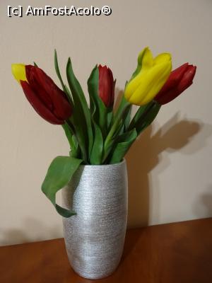 [P05] Flori de primăvară...  » foto by tata123 🔱
 - 
<span class="allrVoted glyphicon glyphicon-heart hidden" id="av1057573"></span>
<a class="m-l-10 hidden" id="sv1057573" onclick="voting_Foto_DelVot(,1057573,8128)" role="button">șterge vot <span class="glyphicon glyphicon-remove"></span></a>
<a id="v91057573" class=" c-red"  onclick="voting_Foto_SetVot(1057573)" role="button"><span class="glyphicon glyphicon-heart-empty"></span> <b>LIKE</b> = Votează poza</a> <img class="hidden"  id="f1057573W9" src="/imagini/loader.gif" border="0" /><span class="AjErrMes hidden" id="e1057573ErM"></span>