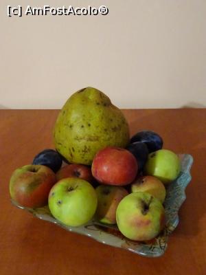 [P32] Fructe de la Bordenii Mici - se detașează para de peste 600 grame.  » foto by tata123 🔱
 - 
<span class="allrVoted glyphicon glyphicon-heart hidden" id="av1106228"></span>
<a class="m-l-10 hidden" id="sv1106228" onclick="voting_Foto_DelVot(,1106228,8128)" role="button">șterge vot <span class="glyphicon glyphicon-remove"></span></a>
<a id="v91106228" class=" c-red"  onclick="voting_Foto_SetVot(1106228)" role="button"><span class="glyphicon glyphicon-heart-empty"></span> <b>LIKE</b> = Votează poza</a> <img class="hidden"  id="f1106228W9" src="/imagini/loader.gif" border="0" /><span class="AjErrMes hidden" id="e1106228ErM"></span>