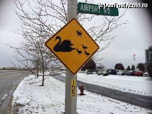 [P01] Grija fata de necuvantatoare ia forme diverse si este intotdeauna parte definitoare din caracterul uman - semn rutier plin de semnificatii la circa 50 km de Chicago.  » foto by ccondeiu
 - 
<span class="allrVoted glyphicon glyphicon-heart hidden" id="av576421"></span>
<a class="m-l-10 hidden" id="sv576421" onclick="voting_Foto_DelVot(,576421,8129)" role="button">șterge vot <span class="glyphicon glyphicon-remove"></span></a>
<a id="v9576421" class=" c-red"  onclick="voting_Foto_SetVot(576421)" role="button"><span class="glyphicon glyphicon-heart-empty"></span> <b>LIKE</b> = Votează poza</a> <img class="hidden"  id="f576421W9" src="/imagini/loader.gif" border="0" /><span class="AjErrMes hidden" id="e576421ErM"></span>