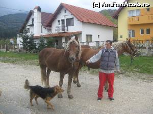 [P03] In fiecare dimineata, sefu' Costel, ne scoate la plimbare » foto by dorgo
 - 
<span class="allrVoted glyphicon glyphicon-heart hidden" id="av567442"></span>
<a class="m-l-10 hidden" id="sv567442" onclick="voting_Foto_DelVot(,567442,8129)" role="button">șterge vot <span class="glyphicon glyphicon-remove"></span></a>
<a id="v9567442" class=" c-red"  onclick="voting_Foto_SetVot(567442)" role="button"><span class="glyphicon glyphicon-heart-empty"></span> <b>LIKE</b> = Votează poza</a> <img class="hidden"  id="f567442W9" src="/imagini/loader.gif" border="0" /><span class="AjErrMes hidden" id="e567442ErM"></span>