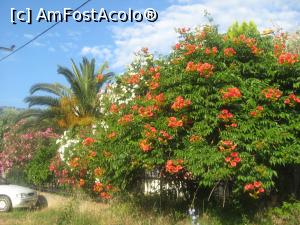 [P19]  -- <small>// FĂRĂ DESCRIERE</small> » foto by dorgo
 - 
<span class="allrVoted glyphicon glyphicon-heart hidden" id="av719246"></span>
<a class="m-l-10 hidden" id="sv719246" onclick="voting_Foto_DelVot(,719246,8129)" role="button">șterge vot <span class="glyphicon glyphicon-remove"></span></a>
<a id="v9719246" class=" c-red"  onclick="voting_Foto_SetVot(719246)" role="button"><span class="glyphicon glyphicon-heart-empty"></span> <b>LIKE</b> = Votează poza</a> <img class="hidden"  id="f719246W9" src="/imagini/loader.gif" border="0" /><span class="AjErrMes hidden" id="e719246ErM"></span>