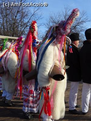 [P10] Obiceiuri de Anul Nou - Muzeul Satului, decembrie 2019.  » foto by tata123 🔱
 - 
<span class="allrVoted glyphicon glyphicon-heart hidden" id="av1135199"></span>
<a class="m-l-10 hidden" id="sv1135199" onclick="voting_Foto_DelVot(,1135199,8129)" role="button">șterge vot <span class="glyphicon glyphicon-remove"></span></a>
<a id="v91135199" class=" c-red"  onclick="voting_Foto_SetVot(1135199)" role="button"><span class="glyphicon glyphicon-heart-empty"></span> <b>LIKE</b> = Votează poza</a> <img class="hidden"  id="f1135199W9" src="/imagini/loader.gif" border="0" /><span class="AjErrMes hidden" id="e1135199ErM"></span>