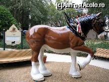 [P28] Larry este o replica a cailor din rasa Clydesdale. Dupa Prohibitie, acesti cai erau inhamati la carute cu butoaie de bere si defilau in diverse evenimente si parade. In timp au devenit unul din simbolurile pentru Budweiser si inca se folosesc pentru marketing. » foto by Darklocks
 - 
<span class="allrVoted glyphicon glyphicon-heart hidden" id="av170688"></span>
<a class="m-l-10 hidden" id="sv170688" onclick="voting_Foto_DelVot(,170688,8140)" role="button">șterge vot <span class="glyphicon glyphicon-remove"></span></a>
<a id="v9170688" class=" c-red"  onclick="voting_Foto_SetVot(170688)" role="button"><span class="glyphicon glyphicon-heart-empty"></span> <b>LIKE</b> = Votează poza</a> <img class="hidden"  id="f170688W9" src="/imagini/loader.gif" border="0" /><span class="AjErrMes hidden" id="e170688ErM"></span>