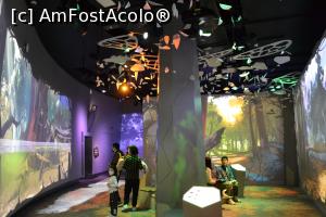 [P06] Se pune mult accent pe media și efecte vizuale pentru a atrage c&acirc;t mai mulți vizitatori » foto by AZE
 - 
<span class="allrVoted glyphicon glyphicon-heart hidden" id="av1367970"></span>
<a class="m-l-10 hidden" id="sv1367970" onclick="voting_Foto_DelVot(,1367970,8157)" role="button">șterge vot <span class="glyphicon glyphicon-remove"></span></a>
<a id="v91367970" class=" c-red"  onclick="voting_Foto_SetVot(1367970)" role="button"><span class="glyphicon glyphicon-heart-empty"></span> <b>LIKE</b> = Votează poza</a> <img class="hidden"  id="f1367970W9" src="/imagini/loader.gif" border="0" /><span class="AjErrMes hidden" id="e1367970ErM"></span>