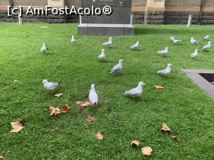 [P32] Catedrala Sf.Paul-&icirc;n fața bisericii » foto by AZE
 - 
<span class="allrVoted glyphicon glyphicon-heart hidden" id="av1369586"></span>
<a class="m-l-10 hidden" id="sv1369586" onclick="voting_Foto_DelVot(,1369586,8157)" role="button">șterge vot <span class="glyphicon glyphicon-remove"></span></a>
<a id="v91369586" class=" c-red"  onclick="voting_Foto_SetVot(1369586)" role="button"><span class="glyphicon glyphicon-heart-empty"></span> <b>LIKE</b> = Votează poza</a> <img class="hidden"  id="f1369586W9" src="/imagini/loader.gif" border="0" /><span class="AjErrMes hidden" id="e1369586ErM"></span>