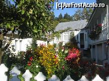 [P25] In fata chiliilor au aparut adevarate gradini de flori » foto by dorgo
 - 
<span class="allrVoted glyphicon glyphicon-heart hidden" id="av172619"></span>
<a class="m-l-10 hidden" id="sv172619" onclick="voting_Foto_DelVot(,172619,8169)" role="button">șterge vot <span class="glyphicon glyphicon-remove"></span></a>
<a id="v9172619" class=" c-red"  onclick="voting_Foto_SetVot(172619)" role="button"><span class="glyphicon glyphicon-heart-empty"></span> <b>LIKE</b> = Votează poza</a> <img class="hidden"  id="f172619W9" src="/imagini/loader.gif" border="0" /><span class="AjErrMes hidden" id="e172619ErM"></span>