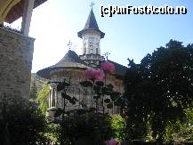 [P43] Si totusi parca florile sunt in prim plan, nu-i asa? » foto by dorgo
 - 
<span class="allrVoted glyphicon glyphicon-heart hidden" id="av172685"></span>
<a class="m-l-10 hidden" id="sv172685" onclick="voting_Foto_DelVot(,172685,8169)" role="button">șterge vot <span class="glyphicon glyphicon-remove"></span></a>
<a id="v9172685" class=" c-red"  onclick="voting_Foto_SetVot(172685)" role="button"><span class="glyphicon glyphicon-heart-empty"></span> <b>LIKE</b> = Votează poza</a> <img class="hidden"  id="f172685W9" src="/imagini/loader.gif" border="0" /><span class="AjErrMes hidden" id="e172685ErM"></span>
