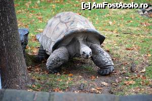 [P09] Philadelphia - din Galapagos?  » foto by makuy*
 - 
<span class="allrVoted glyphicon glyphicon-heart hidden" id="av479168"></span>
<a class="m-l-10 hidden" id="sv479168" onclick="voting_Foto_DelVot(,479168,8193)" role="button">șterge vot <span class="glyphicon glyphicon-remove"></span></a>
<a id="v9479168" class=" c-red"  onclick="voting_Foto_SetVot(479168)" role="button"><span class="glyphicon glyphicon-heart-empty"></span> <b>LIKE</b> = Votează poza</a> <img class="hidden"  id="f479168W9" src="/imagini/loader.gif" border="0" /><span class="AjErrMes hidden" id="e479168ErM"></span>