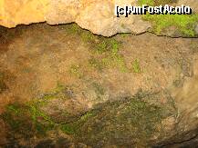 [P36] Crystal Cave - cristale fosforescente » foto by marius.covaci
 - 
<span class="allrVoted glyphicon glyphicon-heart hidden" id="av174288"></span>
<a class="m-l-10 hidden" id="sv174288" onclick="voting_Foto_DelVot(,174288,8193)" role="button">șterge vot <span class="glyphicon glyphicon-remove"></span></a>
<a id="v9174288" class=" c-red"  onclick="voting_Foto_SetVot(174288)" role="button"><span class="glyphicon glyphicon-heart-empty"></span> <b>LIKE</b> = Votează poza</a> <img class="hidden"  id="f174288W9" src="/imagini/loader.gif" border="0" /><span class="AjErrMes hidden" id="e174288ErM"></span>