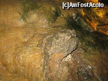 [P39] Lumea subterana din Crystal Cave » foto by marius.covaci
 - 
<span class="allrVoted glyphicon glyphicon-heart hidden" id="av174293"></span>
<a class="m-l-10 hidden" id="sv174293" onclick="voting_Foto_DelVot(,174293,8193)" role="button">șterge vot <span class="glyphicon glyphicon-remove"></span></a>
<a id="v9174293" class=" c-red"  onclick="voting_Foto_SetVot(174293)" role="button"><span class="glyphicon glyphicon-heart-empty"></span> <b>LIKE</b> = Votează poza</a> <img class="hidden"  id="f174293W9" src="/imagini/loader.gif" border="0" /><span class="AjErrMes hidden" id="e174293ErM"></span>